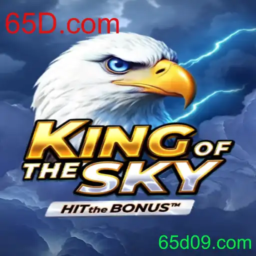 KingOfTheSky: Um Mergulho no Mundo Aéreo com 65D.com